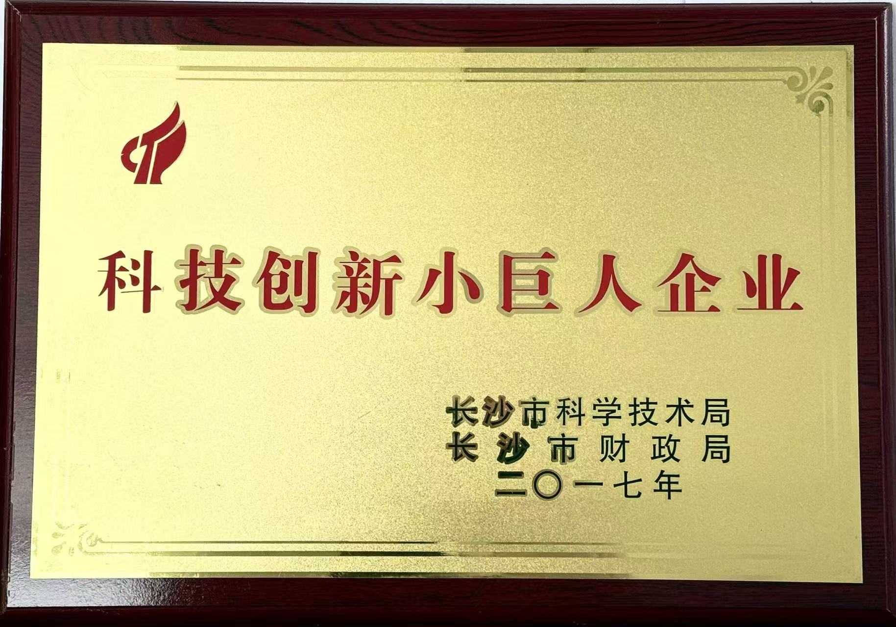 科技创新小巨人企业